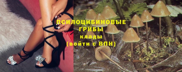 спайс Горняк