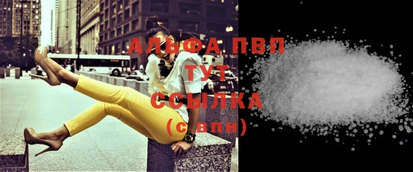 тгк Горно-Алтайск